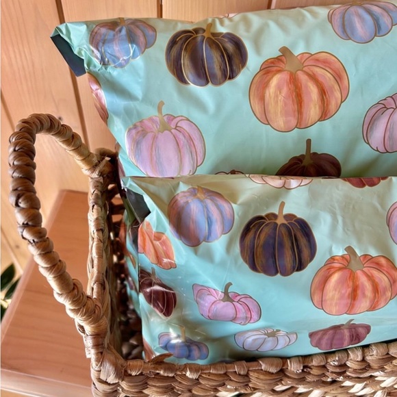 Pumpkin Patch π 10x13 Poly Mailers Pack of 25 - Picture 9 of 10